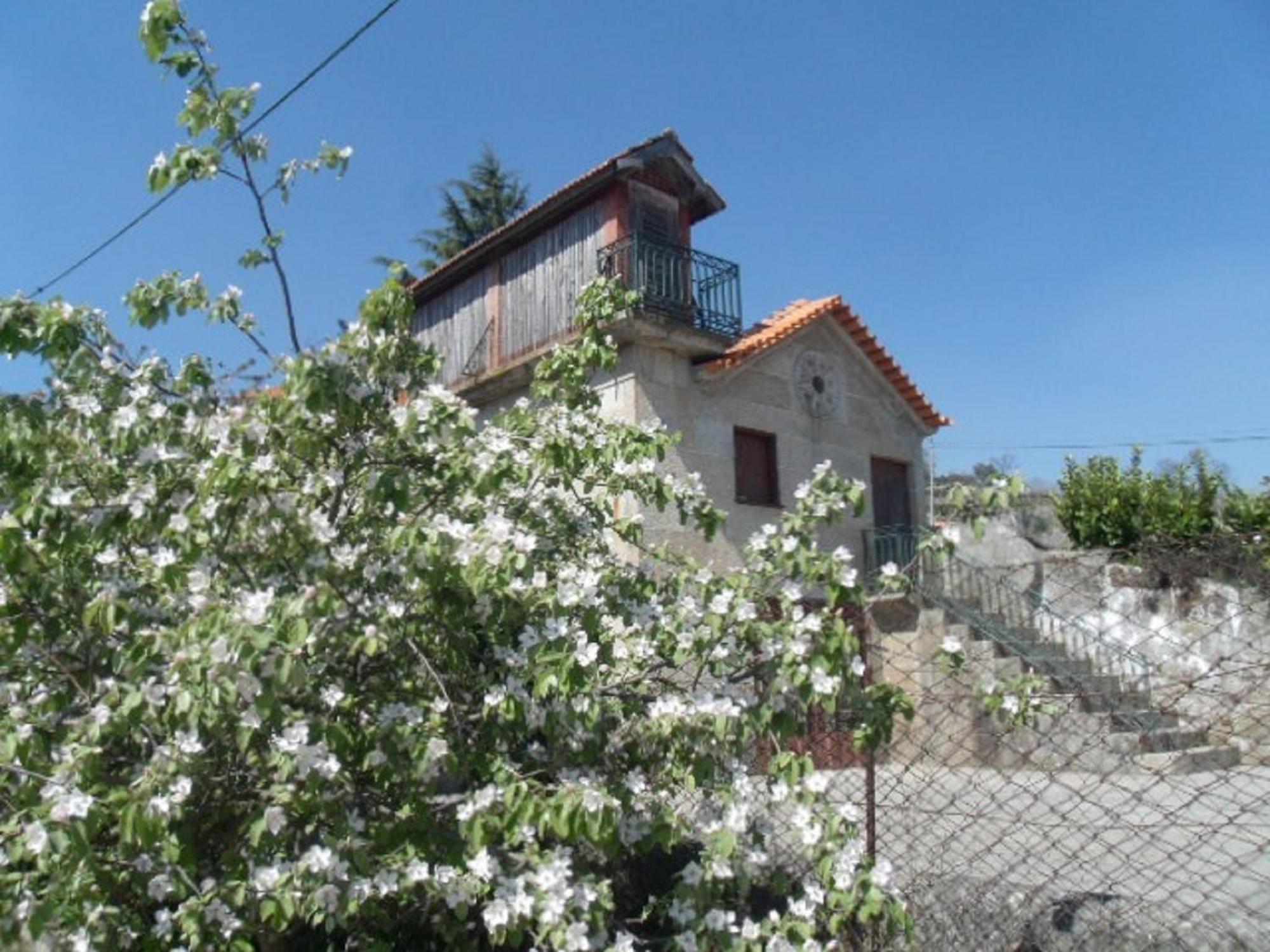 Quinta Da Casa Grande Pinheiro